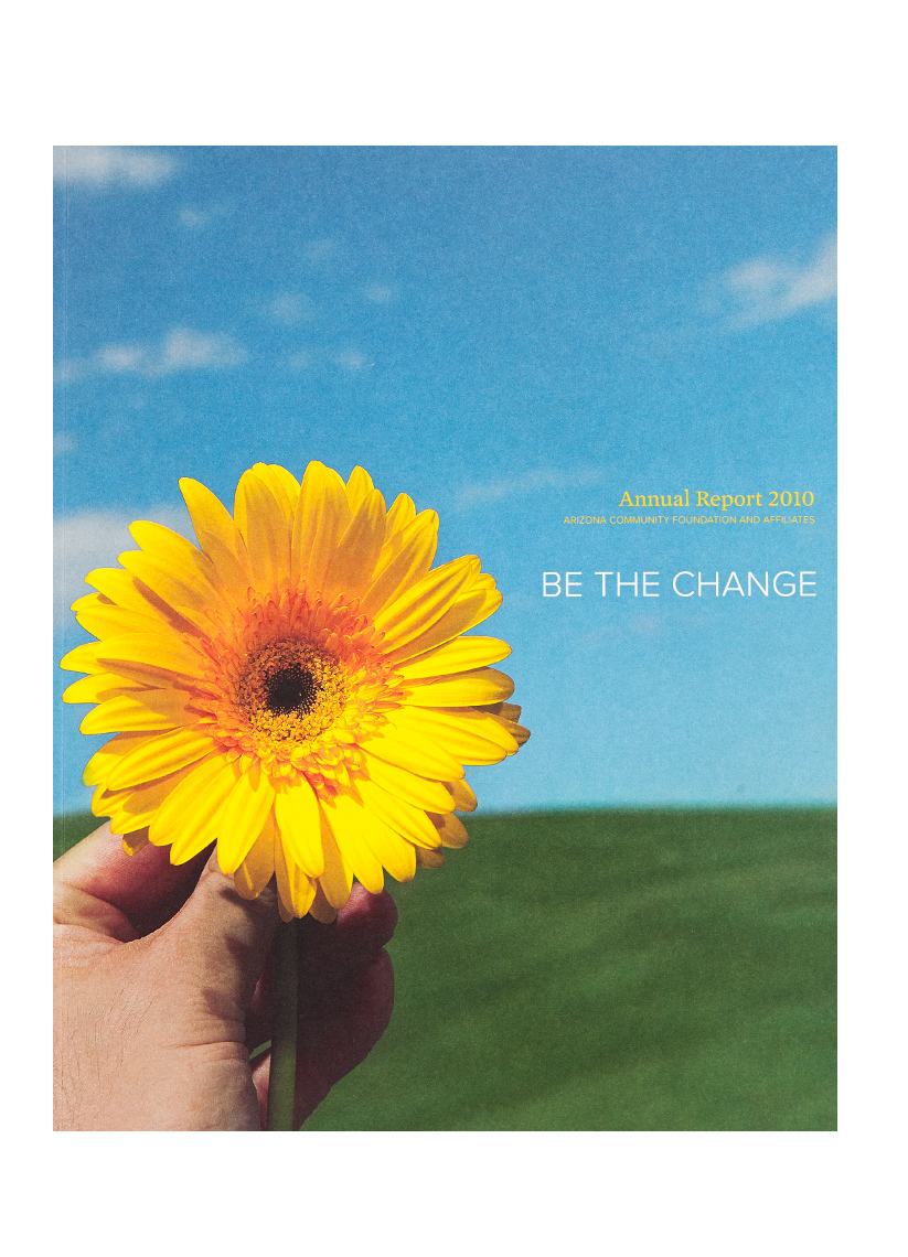 ACF_annual report cover 2010